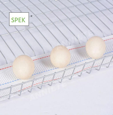 comprar banda transportadora de huevos anti-UV y antienvejecimiento para el sistema de recolección de huevos de las granjas avícolas online manufacture