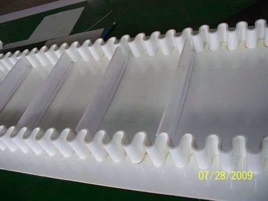 comprar Banda transportadora del flanco para la industria alimentaria de muestras de la fábrica de China gratis online manufacture