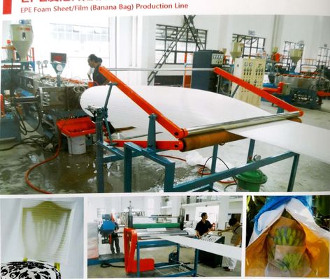 comprar Hoja de la espuma de SP-T90 EPE/cadena de producción de la película (bolso del plátano) online manufacture