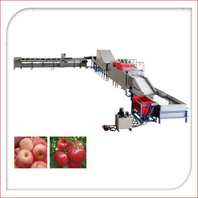 Lavado electrónico automático de la fruta y máquina 5MT/H el encerar