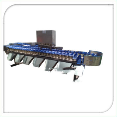 Sortadora electrónica automática de frutas y pesajadoras