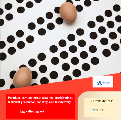 Cinturón transportador de huevos de recolección de PP blanco personalizado, cinta de recolección de huevos de PP, cinta transportadora perforada