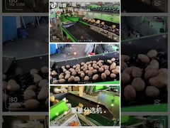 Limpieza de la fruta y máquina el elegir