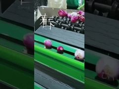 Limpieza de la fruta y máquina el elegir