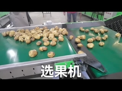 Modifique el graduador de la legumbre para requisitos particulares de fruta