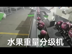 Clasificador electrónico automático de la fruta y pesar la máquina