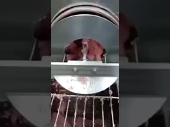 Cinta de separación de espinas de pescado PU, cinta de separación de deshuesado, cinta transportadora